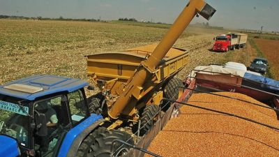 "La gran cosecha argentina": el agro cerrará el primer cuatrimestre con un récord de 40 millones de toneladas exportadas