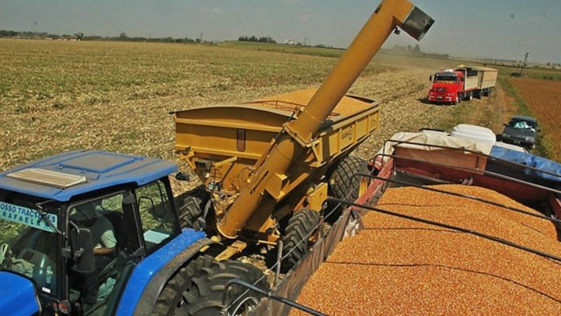 "La gran cosecha argentina": el agro cerrará el primer cuatrimestre con un récord de 40 millones de toneladas exportadas