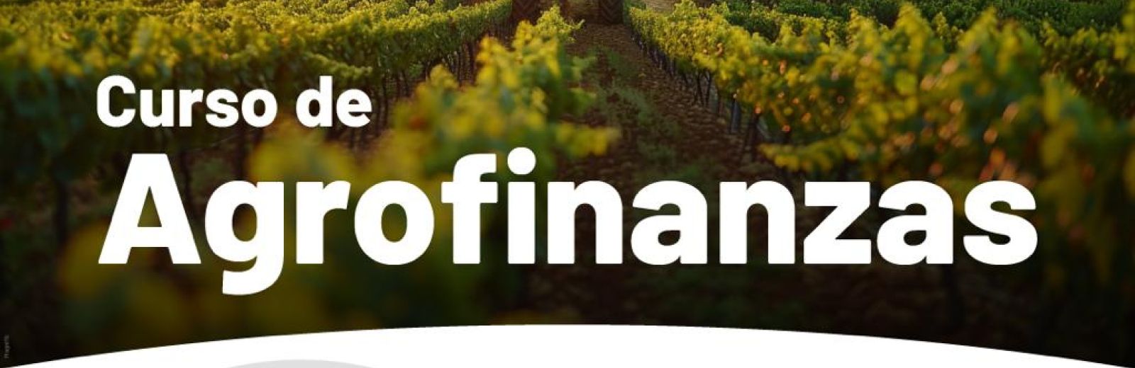 Agrofinanzas- Universidad de Belgrano- Sociedad Rural Argentina