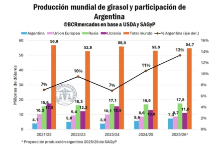 la-produccion-mundial-de-girasol-y-participacion
